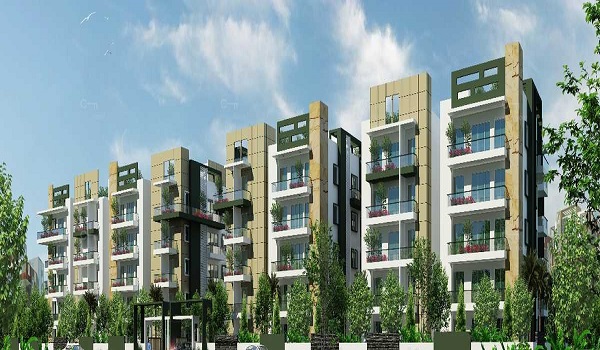 Amrutha Value