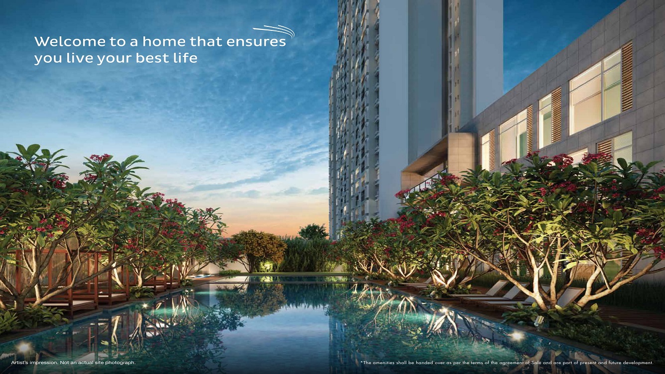 Virtual Tour